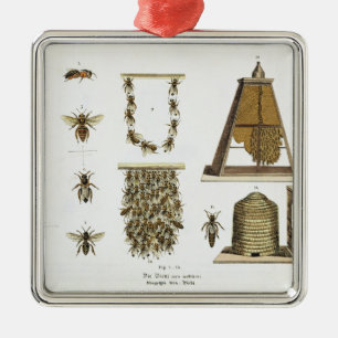 Bees and bee-keeping, from 'The Young Landsman', p Metal Ornament