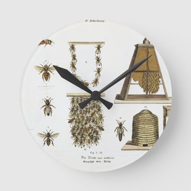 Bees and bee-keeping, from 'The Young Landsman', p Round Clock (Front)