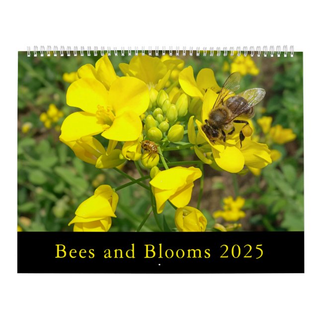 Bees and Blooms 2025 Calendar (Cover)