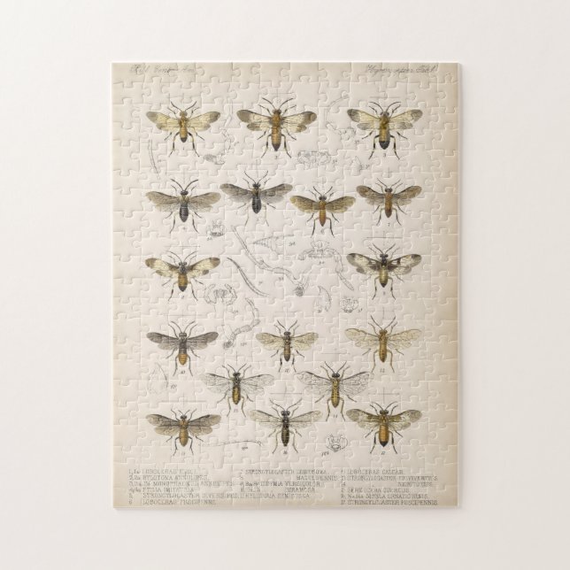 Bees and wasps from Cameron 1883-1890 Jigsaw Puzzle (Vertical)