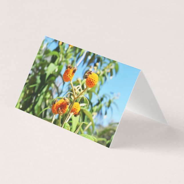 Bees at Work Blank Greeting Card (Front)