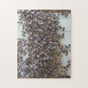 Bees, Bees! Where's Queen Bee? Jigsaw Puzzle