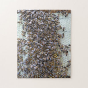 Bees, Bees!  Where's Queen Bee? Jigsaw Puzzle