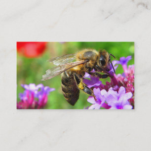 Bees for Sale Business Card
