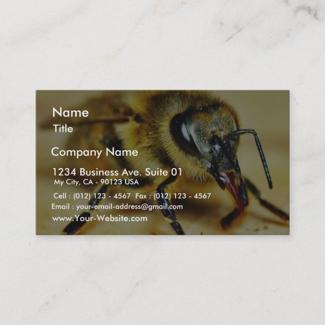 Bees Insects Business Card (Front)