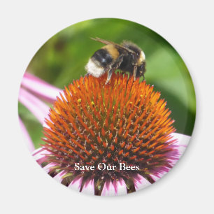 BEES MAGNET