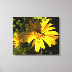 Bees N Sunflowers Wrapped Canvas