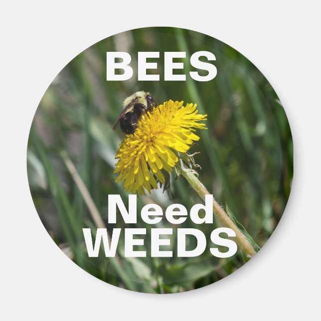 Bees Need Weeds Magnet (Front)