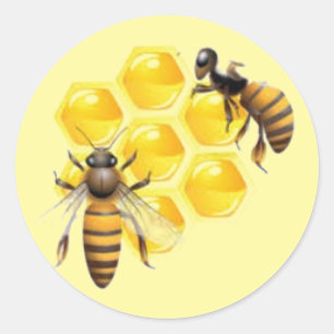 Bees on Honeycomb Envelope Seals