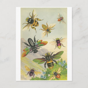 Bees Postcard