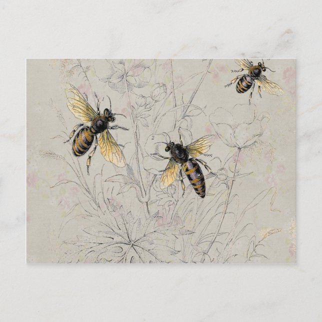 Bees Postcard (Front)
