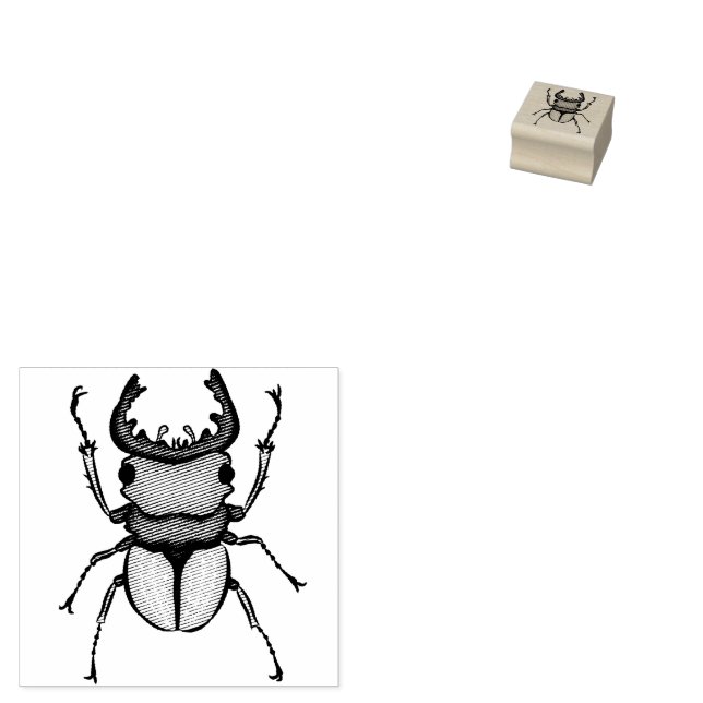 Beetle Art Entomology Insect Rubber Stamp (Stamped)