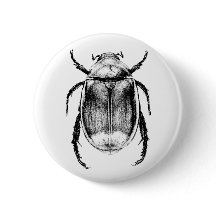 Beetle Badge