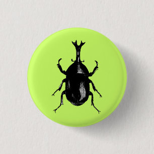 Beetle Beetles Insect Bug Vintage Wood Engraving 1 Inch Round Button