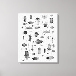 Beetle Black & White Canvas Print