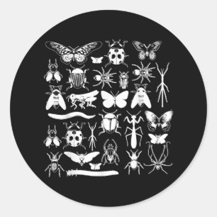 Beetle & Bug Collector - Entomology Insect Classic Round Sticker