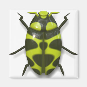 Beetle bug insect cute magnet