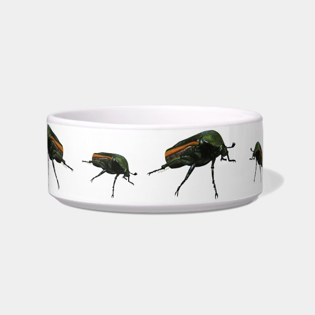 Beetle Bug Pet Bowls (Front)