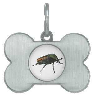 Beetle Bug Pet Tags