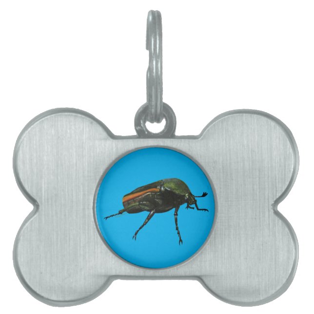 Beetle Bug Pet Tags (Front)