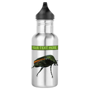 Beetle Bug Water Bottle