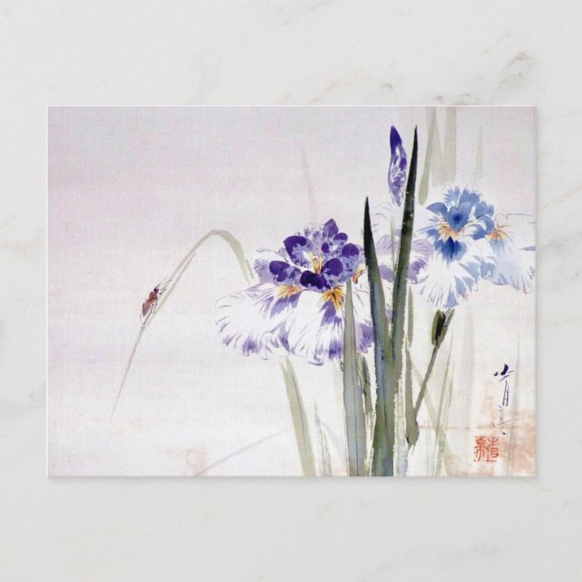Beetle Climbing on Iris Leaf, Watanabe Seitei Postcard (Front)