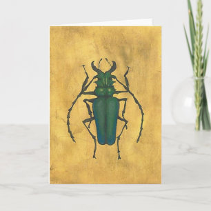 Beetle Greeting Card II
