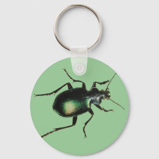 Beetle Keychain