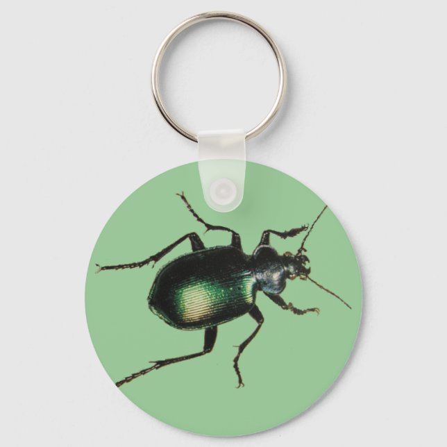 Beetle Keychain (Front)