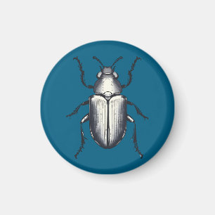 Beetle Magnet