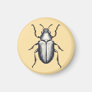 Beetle Magnet