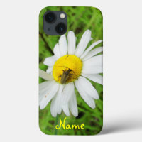 Beetle On A Daisy