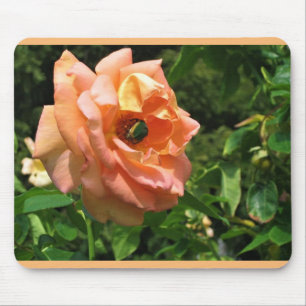 Beetle on a Rose Mouse Pad