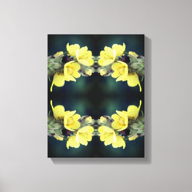 Beetle On Wild Mullein Flower Abstract  Canvas Print (Front)
