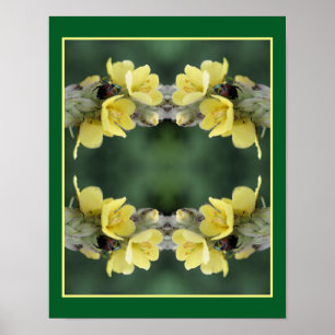 Beetle On Wild Mullein Flower Abstract Poster