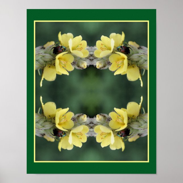 Beetle On Wild Mullein Flower Abstract  Poster (Front)