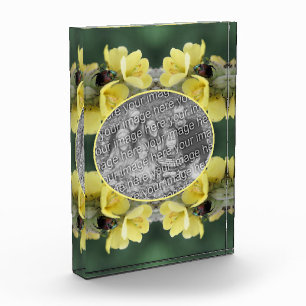 Beetle On Wild Mullein Flower Add Your  Photo Block