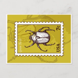 Beetle Postcard