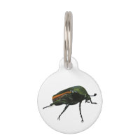 Beetle Round Pet Tag