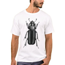 Beetle