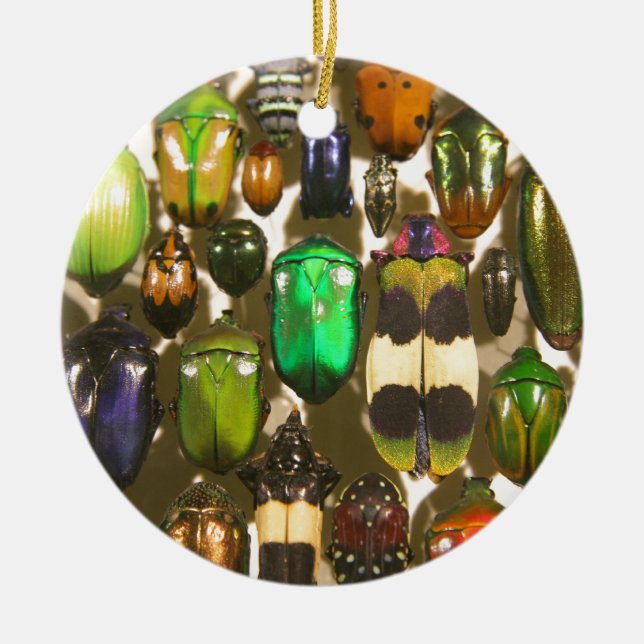 Beetles, Bugs and Insects Ceramic Ornament (Front)