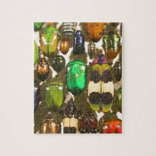 Beetles, Bugs and Insects Jigsaw Puzzle