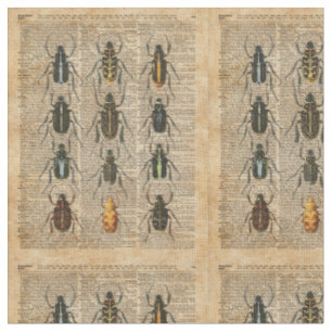 Beetles Bugs Zoology Vintage Illustration Art Fabric