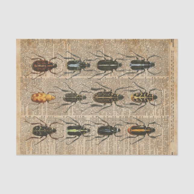 Beetles Bugs Zoology Vintage Illustration Art Tissue Paper (Front)