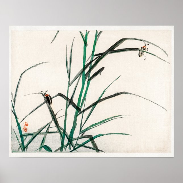 Beetles by Kōno Bairei (1844-1895) Poster (Front)