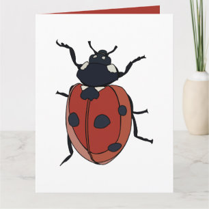 Beetles Insect Ladybug Beetles Card