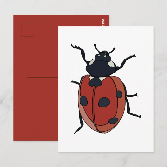 Beetles Insect Ladybug Beetles Postcard (Front/Back)
