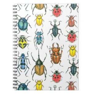 Beetles Notebook