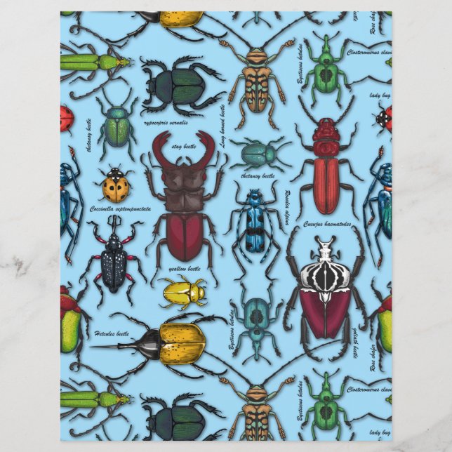 Beetles on blue (Front)