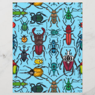 Beetles on blue